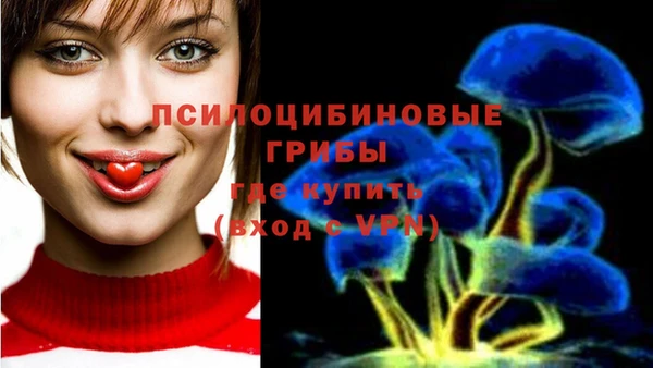 гидропоника Алзамай