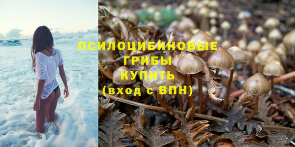 гидропоника Алзамай