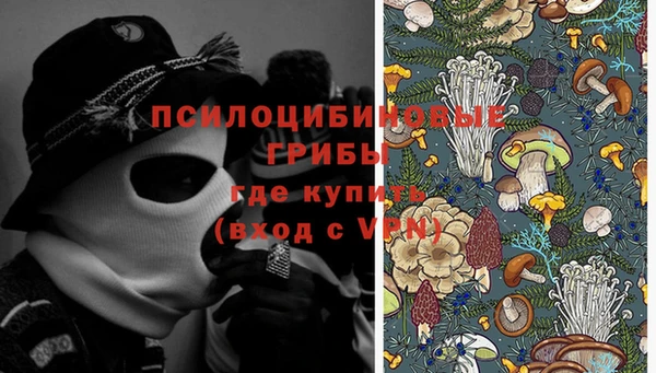 первитин Алексеевка